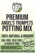 Load image into Gallery viewer, Angel Trumpet Premium Potting Mix