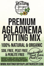 Load image into Gallery viewer, Aglaonema Premium Potting Mix