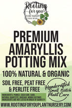 Load image into Gallery viewer, Amaryllis Premium Potting Mix