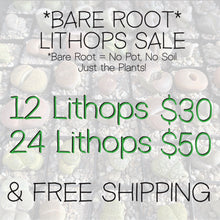 Load image into Gallery viewer, BARE ROOT Bulk Lithops - Living Stone Succulent