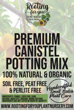 Load image into Gallery viewer, Canistel Eggfruit Premium Potting Mix
