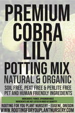 Load image into Gallery viewer, Cobra Lily Carnivorous Plant Premium Potting Mix