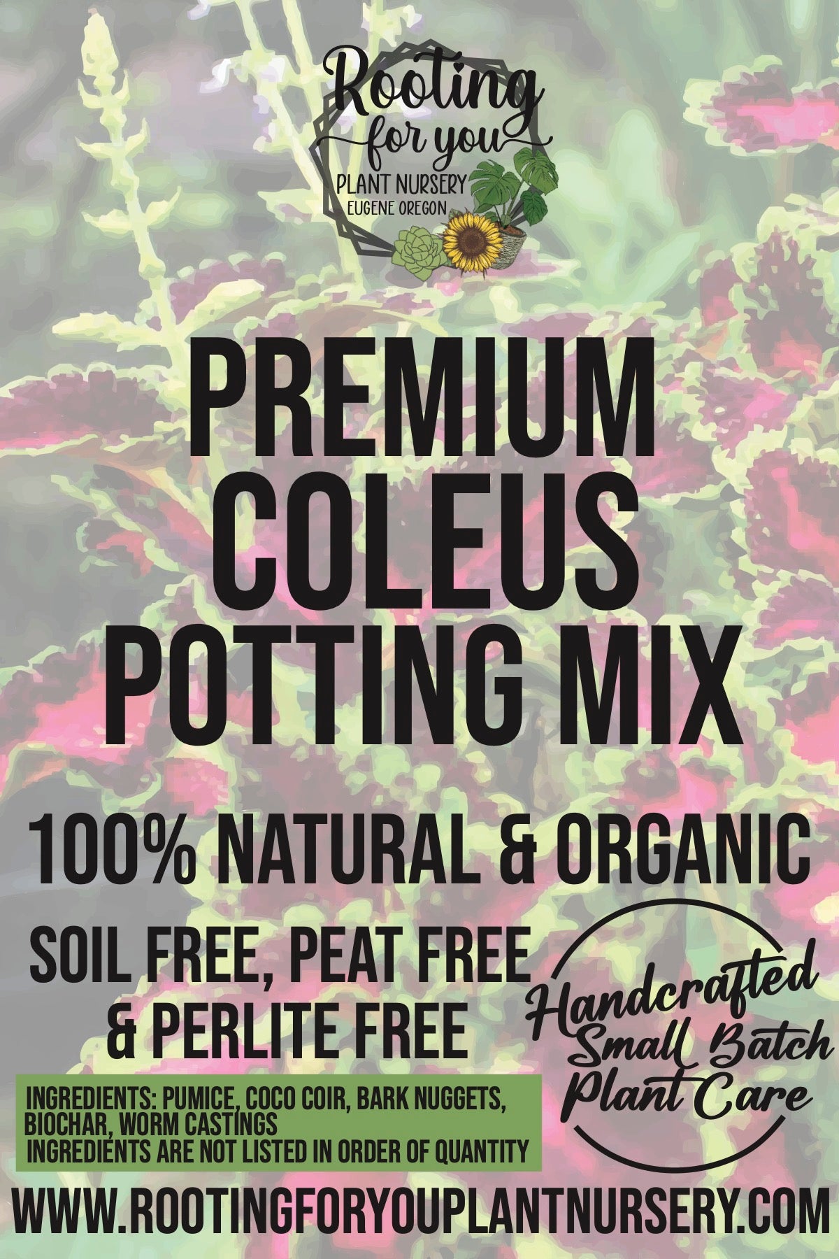 BEGONIA Premium Potting Mix - Rooting For You Plant Nursery