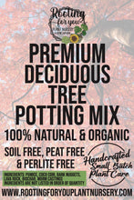 Load image into Gallery viewer, Deciduous Tree Premium Potting Mix