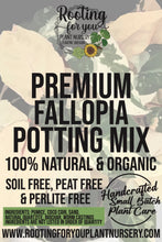 Load image into Gallery viewer, Fallopia Premium Potting Mix