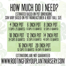 Load image into Gallery viewer, Cast Iron Plant Premium Potting Mix