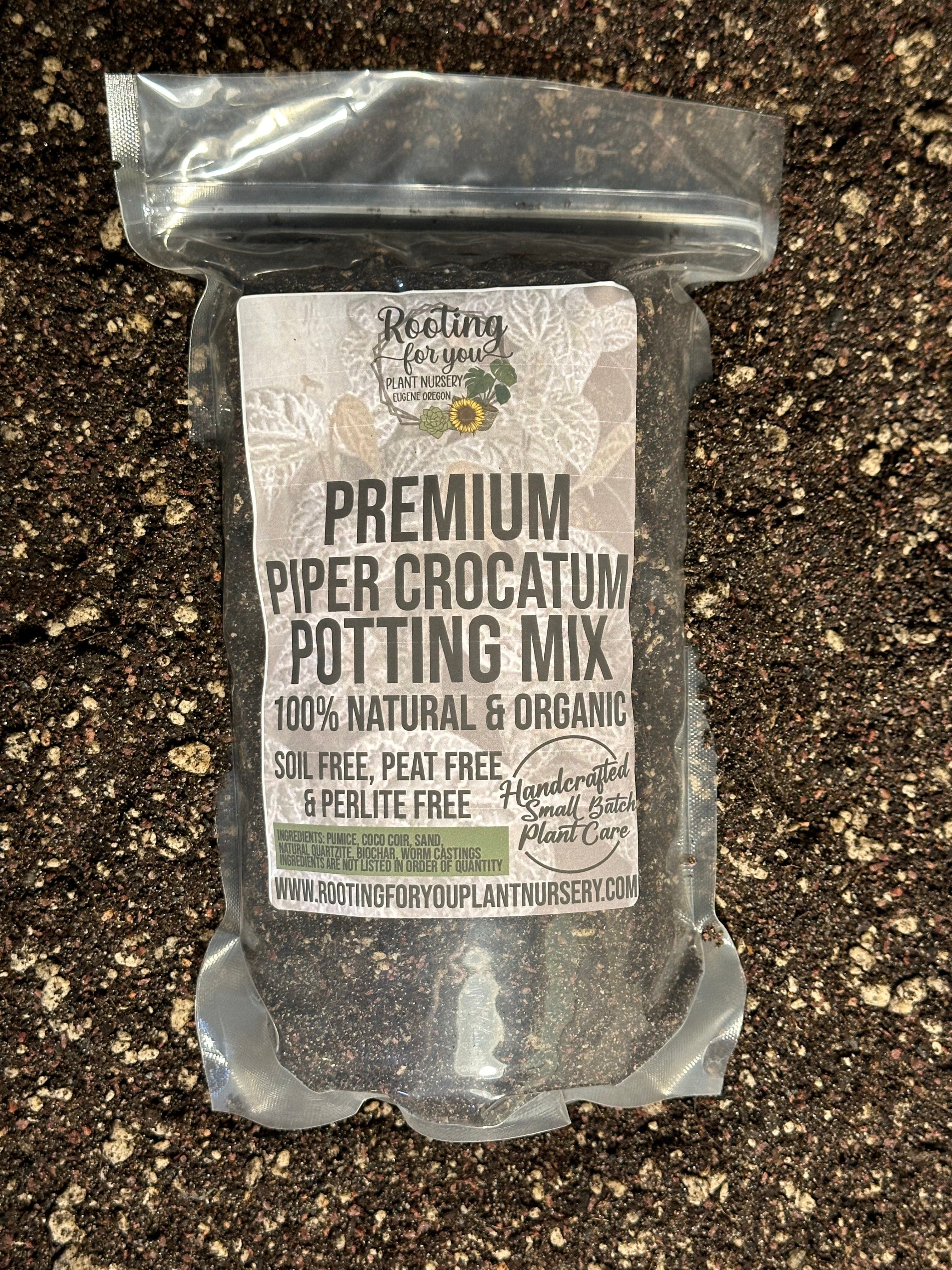 Piper Crocatum Premium Potting Mix - Rooting For You Plant Nursery