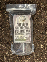 Load image into Gallery viewer, Kaempferia Ginger Premium Potting Mix