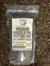 Load image into Gallery viewer, Norfolk Pine Premium Potting Mix