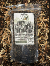 Load image into Gallery viewer, Aglaonema Premium Potting Mix