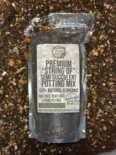 Load image into Gallery viewer, STRING OF SEMI SUCCULENT Premium Potting Mix