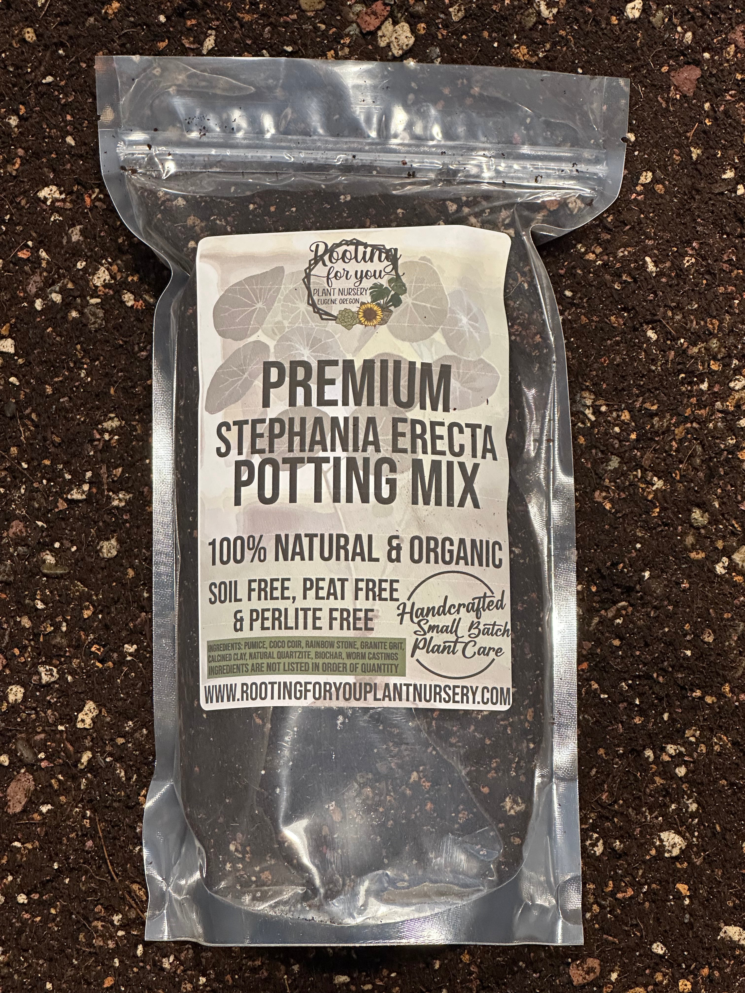 Stephania Erecta Premium Potting Mix – Rooting For You Plant Nursery