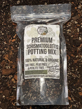 Load image into Gallery viewer, Schismatoglottis Premium Potting Mix