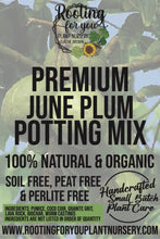 Load image into Gallery viewer, June Plum Premium Potting Mix