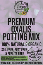 Load image into Gallery viewer, Oxalis Premium Potting Mix