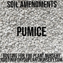 Load image into Gallery viewer, Pumice Soil Amendment