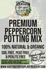 Load image into Gallery viewer, Peppercorn Plant Premium Potting Mix