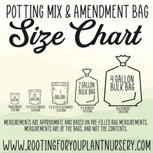 Load image into Gallery viewer, Pepper Plant Premium Potting Mix