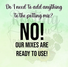 Load image into Gallery viewer, Premium Super Chunky Extra Grit Houseplant Soilless Potting Mix - Perfect for Overwaterers!