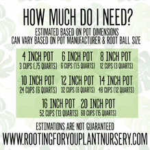 Load image into Gallery viewer, Premium Super Chunky Extra Grit Houseplant Soilless Potting Mix - Perfect for Overwaterers!