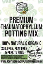 Load image into Gallery viewer, Thaumatophyllum Premium Potting Mix