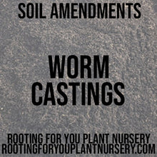 Load image into Gallery viewer, Worm Castings Soil Amendment