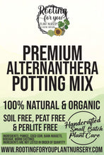 Load image into Gallery viewer, Party Time Alternanthera Premium Potting Mix