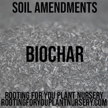 Load image into Gallery viewer, BioChar Soil Amendment