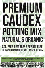 Load image into Gallery viewer, Caudex Premium Potting Mix