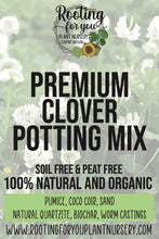 Load image into Gallery viewer, Clover Premium Potting Mix