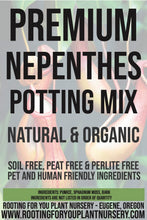 Load image into Gallery viewer, Nepenthes Carnivorous Plant Premium Potting Mix