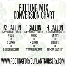 Load image into Gallery viewer, Cast Iron Plant Premium Potting Mix