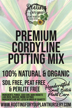 Load image into Gallery viewer, Cordyline Premium Potting Mix