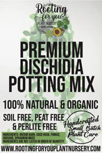 Load image into Gallery viewer, DISCHIDIA Premium Potting Mix