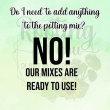 Load image into Gallery viewer, Cast Iron Plant Premium Potting Mix