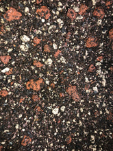Load image into Gallery viewer, June Plum Premium Potting Mix