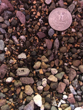 Load image into Gallery viewer, CACTUS & SUCCULENT Premium Potting Mix