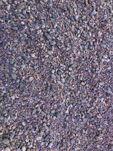 Load image into Gallery viewer, Lithops Living Stone Premium Potting Mix