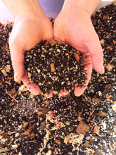 Load image into Gallery viewer, Alocasia - Colocasia - Caladium Premium Potting Mix