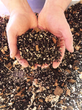 Load image into Gallery viewer, Aglaonema Premium Potting Mix