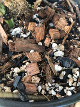 Load image into Gallery viewer, Premium Tropical Houseplant Potting Mix - General Purpose For Tropical Houseplants