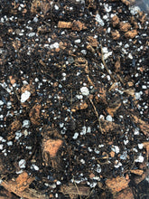Load image into Gallery viewer, STRING OF SEMI SUCCULENT Premium Potting Mix