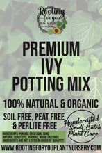 Load image into Gallery viewer, Ivy Premium Potting Mix