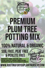 Load image into Gallery viewer, Plum Tree Premium Potting Mix