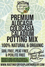 Load image into Gallery viewer, Alocasia - Colocasia - Caladium Premium Potting Mix
