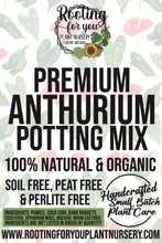 Load image into Gallery viewer, ANTHURIUM Premium Potting Mix