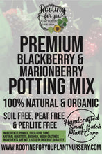 Load image into Gallery viewer, Blackberry / Marionberry Premium Potting Mix