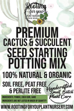 Load image into Gallery viewer, Cactus and Succulent SEED STARTING Premium Potting Mix