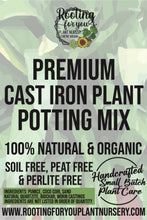 Load image into Gallery viewer, Cast Iron Plant Premium Potting Mix