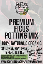 Load image into Gallery viewer, Ficus Premium Potting Mix
